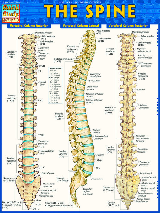 Title details for The Spine by BarCharts, Inc. - Available